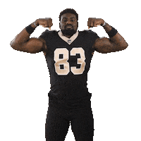 Football Sport Sticker by New Orleans Saints