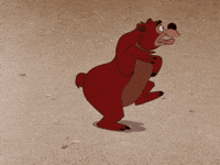 cerezatelio dance bear silly dumb GIF