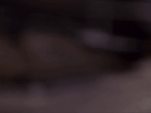 viceadneasypodcast giphygifgrabber gator GIF