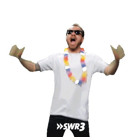 Party Yes Sticker by SWR3