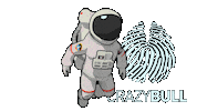 Space Dust Sticker by Crazy Bull