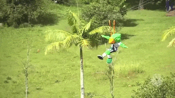 Palmeiras palmeiras resort voando voa GIF