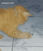 acting go go go GIF