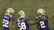 Bow Down Purple Reign GIF by Washington Athletics