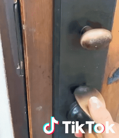 Dog Hello GIF by TikTok France
