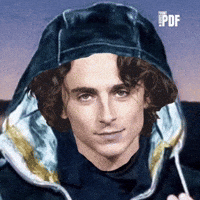 Timothee Chalamet Rebel GIF by Respective