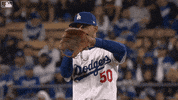 Major League Baseball Applause GIF by MLB