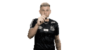 Santosfc Sticker by Santos Futebol Clube