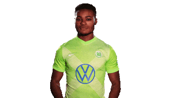 Soccer Sticker Sticker by VfL Wolfsburg