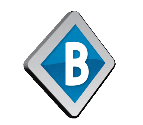 bezuijenbemiddeling giphyupload makelaar ouddorp bezuijen bemiddeling Sticker