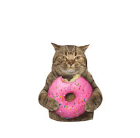 Donut Sticker by Idea