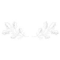 Christmas Branch Sticker by SNOCKS GmbH