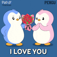 Ask Out I Love You GIF by Pudgy Penguins