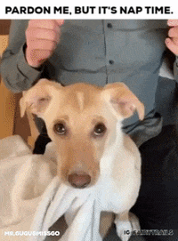 mrgugumissgo  GIF