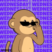 Good Morning Coffee GIF by Wise Monkey Meme