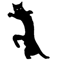 srodan art cat animation animated GIF