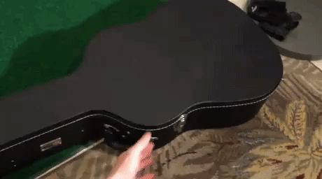 gun guitar case GIF