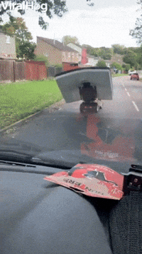 Man Transports Mattress on Mobility Scooter