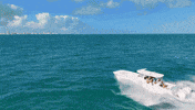 GemluxFishing miami waves fishing wavy GIF