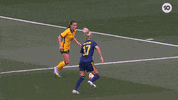 Hayley Raso Soccer GIF by Football Australia