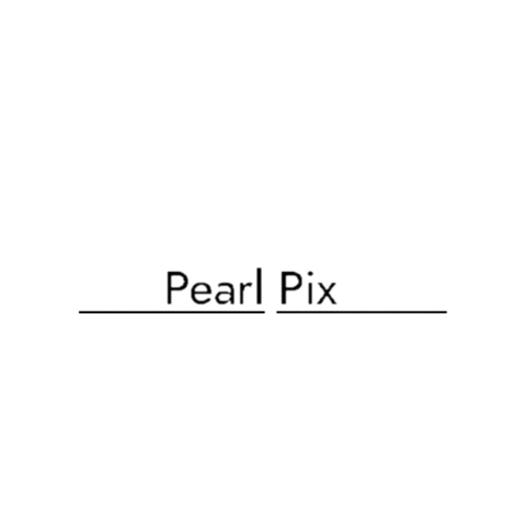 PearlPixPhotoBooth photobooth photo booth pppb pearl pix photo booth Sticker