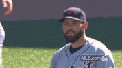 Major League Baseball Reaction GIF by Detroit Tigers