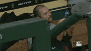 Major League Baseball Reaction GIF by Detroit Tigers