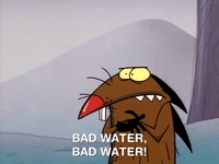 nickrewind nicksplat angry beavers GIF