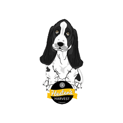 Trevozah giphygifmaker honey bees harvest Sticker