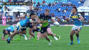 Nrl Greenmachine GIF by Canberra Raiders