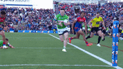 Try Nrl GIF by Canberra Raiders