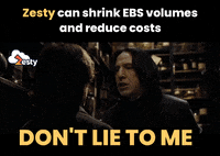 zestyco  GIF