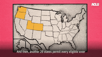 Usa Voting GIF by ACLU