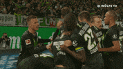 Soccer Yes GIF by VfL Wolfsburg