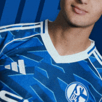 Football Soccer GIF by FC Schalke 04
