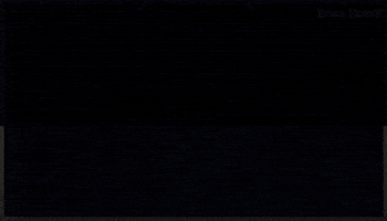 Warrior Mmo GIF by BlackDesert