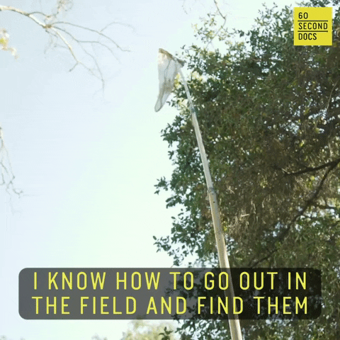 Searching Looking For GIF by 60 Second Docs