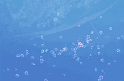 bubbles with google GIF by Product Hunt