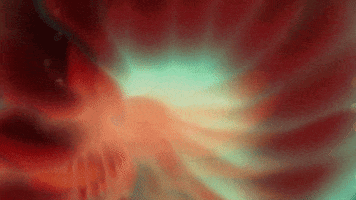 Hand GIF by Faith Holland