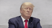 Tired Donald Trump GIF by GIPHY News