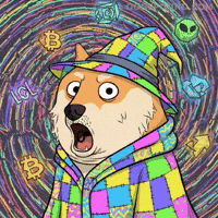 Crypto Wow GIF by Doge Pound