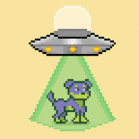 Happy Aww GIF by Doginal Dogs