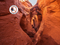 Happy You Can GIF by FranchiseONE.de