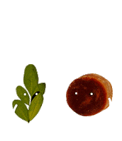 Sugar Indigo Sticker by SukkhaCitta