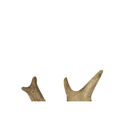 lesptitesmiettes giphygifmaker Sticker