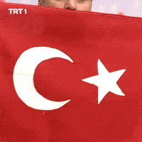 Turkey Turkish GIF by TRT