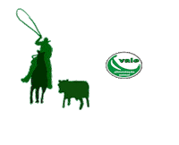Racing Team Roping Sticker by Rações Vale