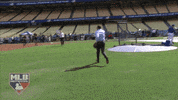 Dodger Stadium Friends GIF by MLB Network