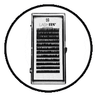 Beauty Eyes Sticker by LipNV