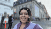 Great Danes Denmark GIF